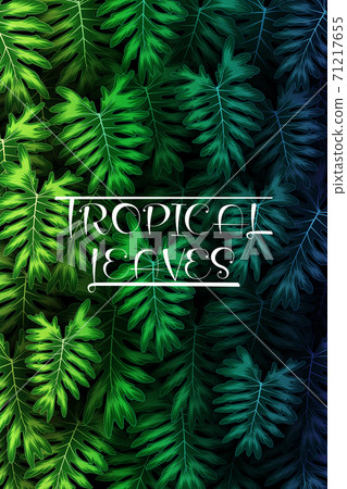 Exotic pattern with tropical leaves on a black background. Exotic pattern with tropical leaves on a black background. 71217655