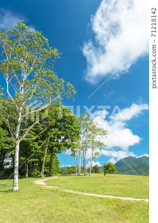廣山高原鮮綠色/初夏風光 71218142