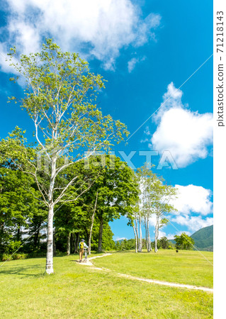 廣山高原鮮綠色/初夏風光 71218143
