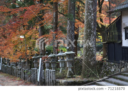 谷山白山寺的秋葉 谷山白山寺的秋葉 71218870