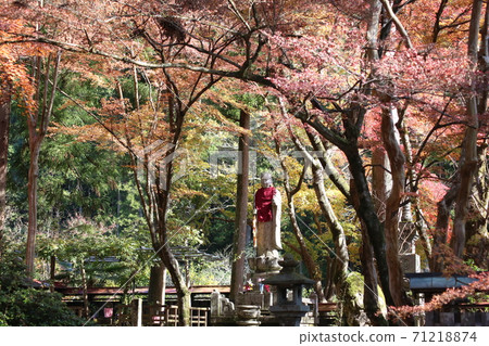 谷山白山寺的秋葉 71218874
