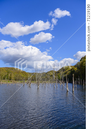 北海道赤川村落合大壩 71219190