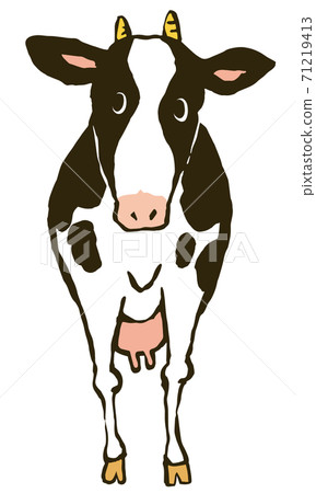 一頭站立的乳牛的正面圖。白色背景上的向量插圖。 一頭站立的乳牛的正面圖。白色背景上的向量插圖。 71219413