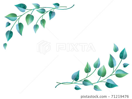 Clean leaves and ivy watercolor 71219476