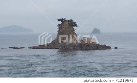 Early summer Tana Island (also known as Turner Island) off the coast of Matsuyama City, Ehime Prefecture [May] 71219672