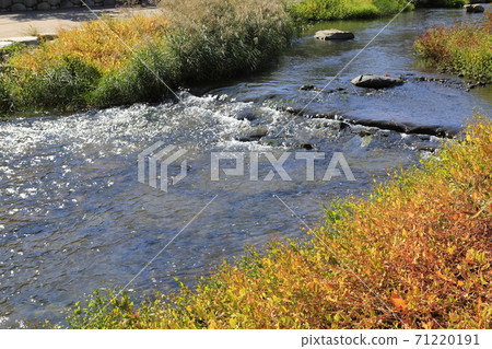 溪流秀麗 71220191