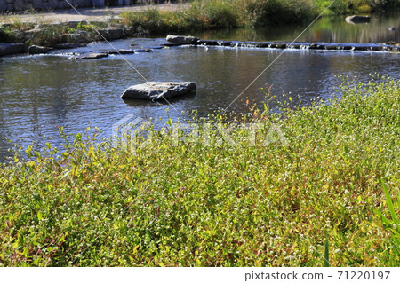 溪流秀麗 71220197