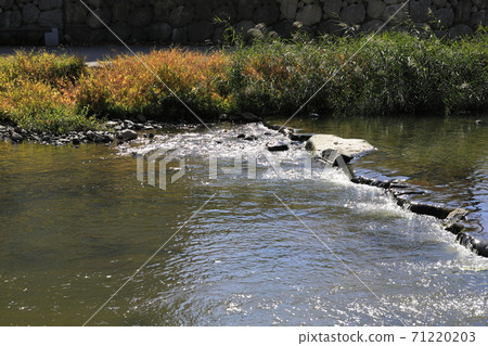 溪流秀麗 71220203