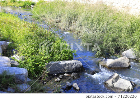 溪流秀麗 71220220