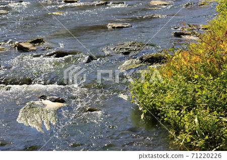 溪流秀麗 溪流秀麗 71220226