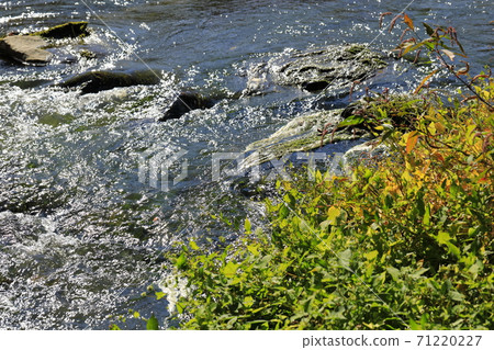 溪流秀麗 71220227