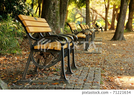 Inokashira Park 71221634