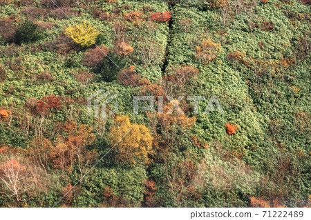 那須秋葉 那須秋葉 71222489