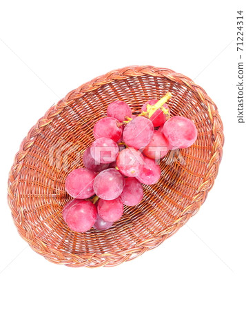 Grape Grape Grape Aki Queen 71224314