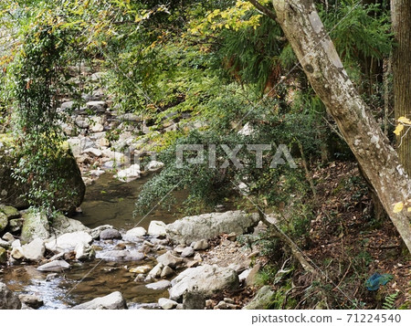 秋葉附近的拉坎山谷 71224540