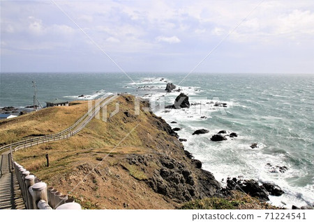 鳴海岬 71224541
