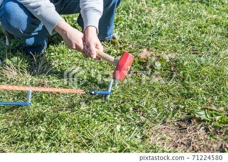 [Women pegging at an auto campsite] 71224580
