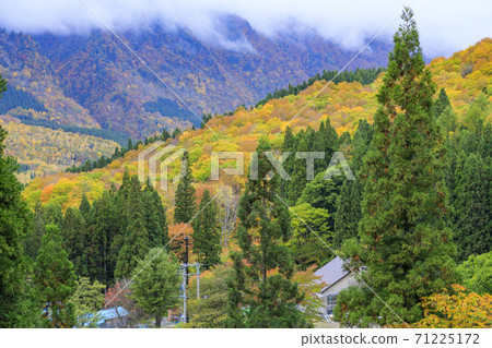 Unexplored region Akiyamago autumn leaves Unexplored region Akiyamago autumn leaves 71225172