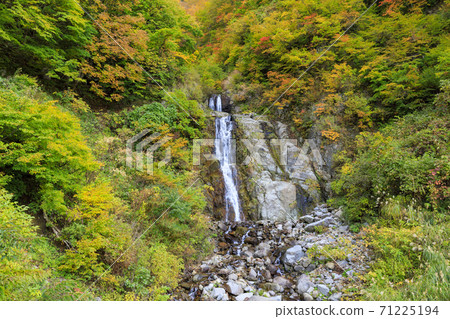 Unexplored region Akiyamago autumn leaves Unexplored region Akiyamago autumn leaves 71225194