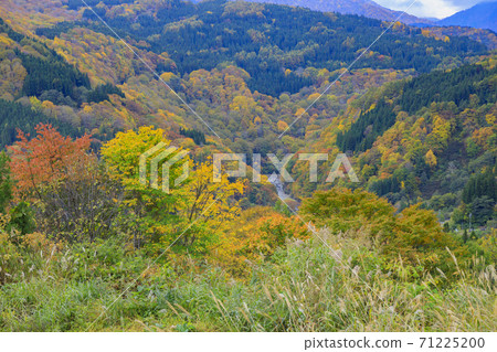 Unexplored region Akiyamago autumn leaves Unexplored region Akiyamago autumn leaves 71225200