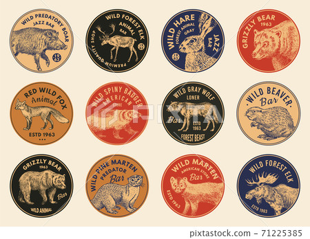 Wild animals stickers in vintage style. Forest Deer Beaver Elk Wolf Bear Fox Marten Badger Boar Hare 71225385