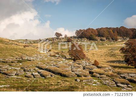 Landscape of the Lessinia Plateau in Autumn with Karst Rocks - Italy Landscape of the Lessinia Plateau in Autumn with Karst Rocks - Italy 71225979