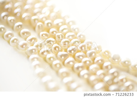 Pearl up, white background and copy space Pearl up, white background and copy space 71226233
