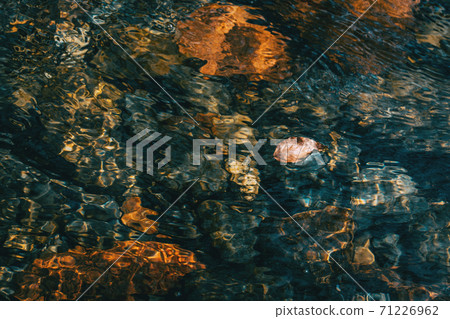 A dried fallen leaf floating on the undulations of the water in a river 71226962