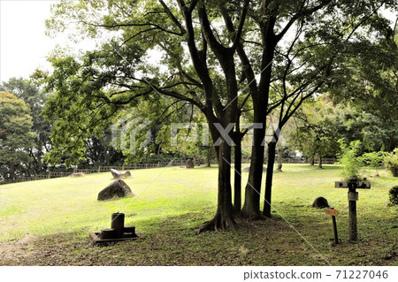 茨城縣大沼自然公園(觀景廣場) 茨城縣大沼自然公園(觀景廣場) 71227046