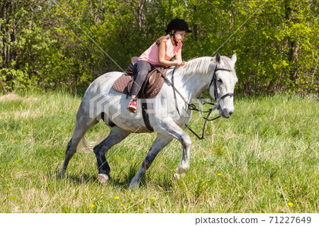 Cute little girl rides white horse Cute little girl rides white horse 71227649