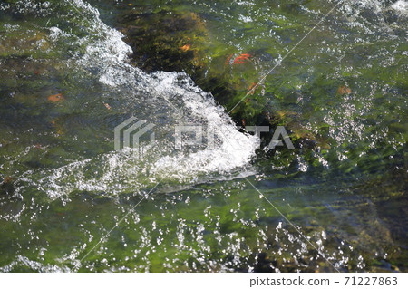 水流過的溪流風景 71227863