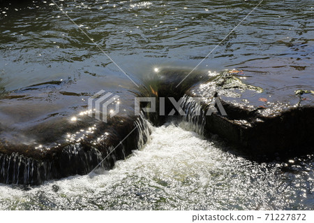 水流過的溪流風景 71227872