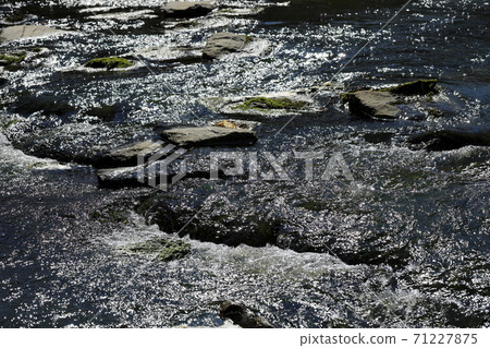 水流過的溪流風景 71227875