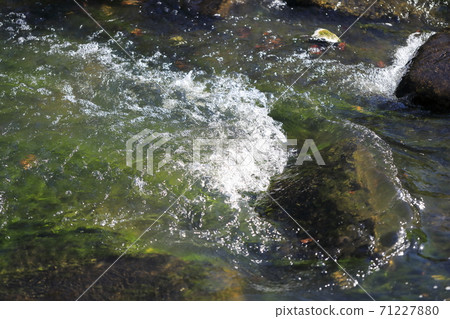 水流過的溪流風景 71227880