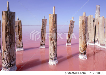 Amazing real pink color salt lake 71229013