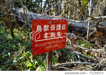 Wildlife sanctuary · Hokkaido 71230373