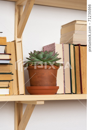 Indoor flowers on the bookshelves Indoor flowers on the bookshelves 71230866