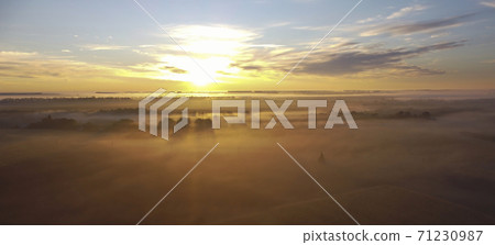 Morning fog, sunbeams and long shadows in the fog that stretched between the trees in the valley near the village. Morning fog, sunbeams and long shadows in the fog that stretched between the trees in the valley near the village. 71230987