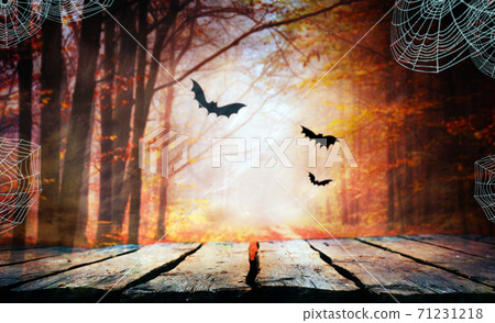Halloween background Halloween background 71231218