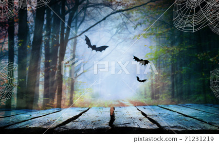 Halloween background Halloween background 71231219