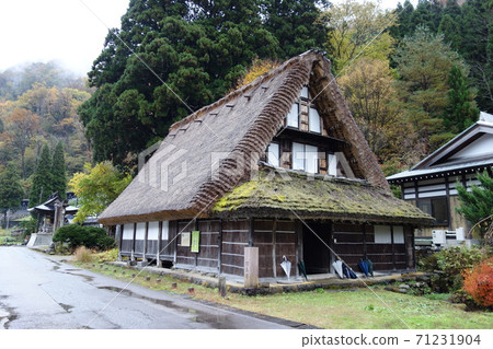 五ka山最古老的合掌式哈巴家族 71231904