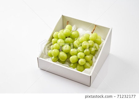 Shine Muscat for presentation 71232177