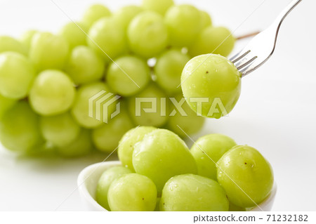 閃亮馬斯喀特介紹 閃亮馬斯喀特介紹 71232182