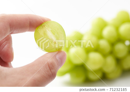 Shine Muscat for presentation 71232185