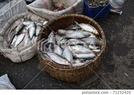 在孟加拉國達卡市場上出售的新鮮魚攤的裝載平台上排隊著許多新鮮魚 71232420