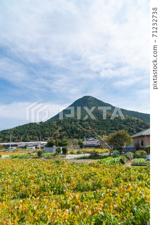 Mt. Mikami (Omi Fuji) (Yasu City, Shiga Prefecture) 71232738