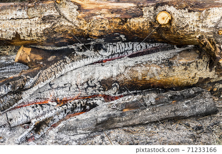 Logs in a blazing fire 71233166