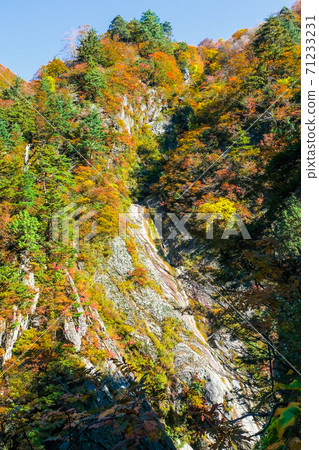 秋葉和岩石表面(垂直) 秋葉和岩石表面(垂直) 71233231
