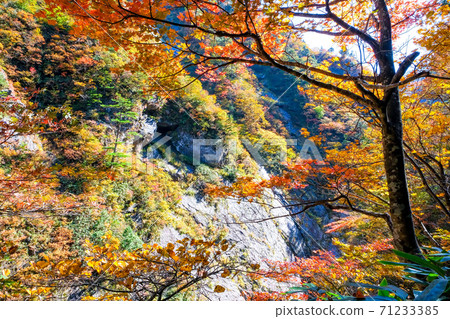 秋天的倒帶山谷和岩牆 秋天的倒帶山谷和岩牆 71233385
