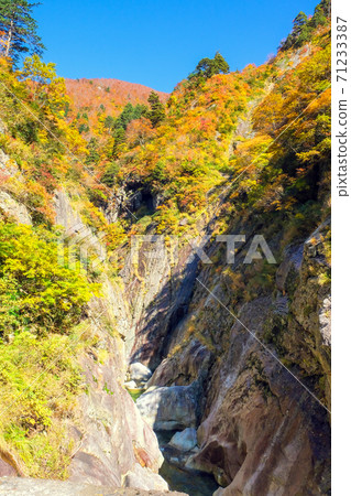 秋天的岩壁，伊澤的山間溪流 71233387